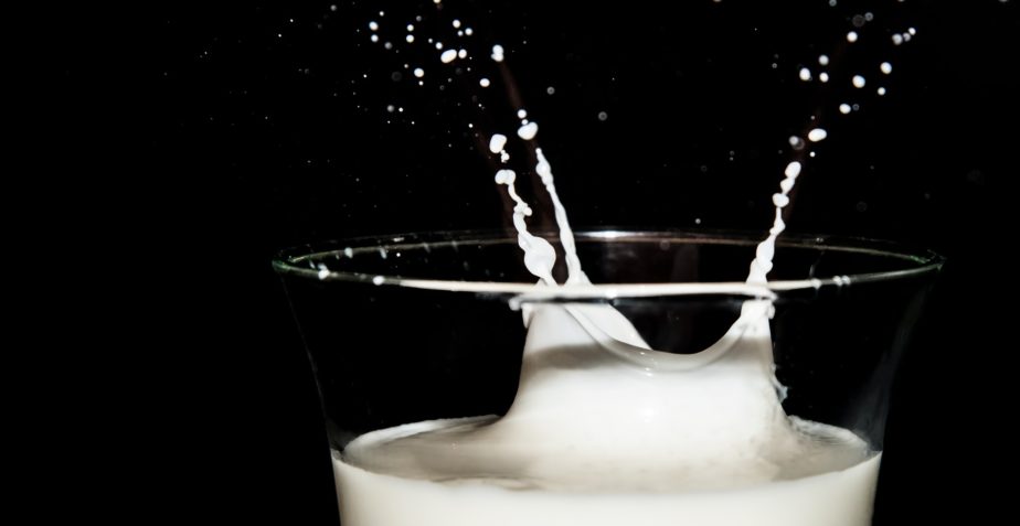 Wo sind Milchproteine enthalten?